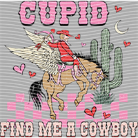 Valentine's Day-QRJ  6942